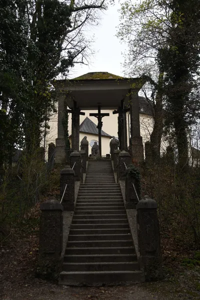 DSC_7010 (Large).JPG